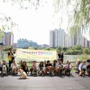 일산 팅커벨 중대형견 입양센터 브링미홈 12월 정기 산책봉사(12월 14일. 일요일) 신청 받습니다. 이미지