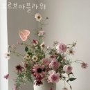 오르브아 | 금호동꽃집 오르브아플라워 가격 위치 영업시간