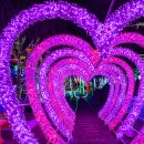 싱그러운청도로(봄) 이미지