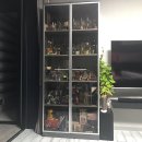 처분이사 이미지