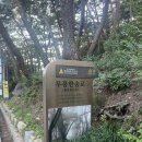 유료주차 안내소 | 양산 통도사 2025 국가유산 미디어아트 공연 후기 무료 주차 꿀팁