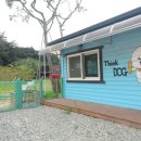 띵독 이미지