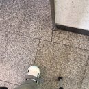 태릉마이크로의원 이미지