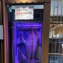 수원 인계동 A코스를 S코스처럼 먹고온 &#39;미나미참치&#39; 내돈내산 후기(feat.다찌자리)