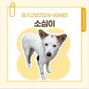 경기 켄넬 이미지