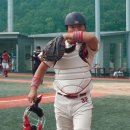 도도 Grooming 이미지