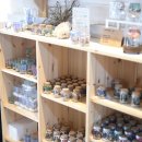 캔들바다 이미지