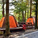 포천자연마을 서울캠핑장 이미지