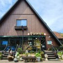 흘리커피 이미지