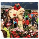 곡성-267 이미지