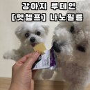안녕, 펫 | 강아지루테인 후기::강아지눈물영양제 찾다가 선택한 펫햄프 눈 영양제
