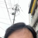 채플린미용실 이미지