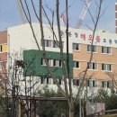 해오름초등학교 건너편 이미지