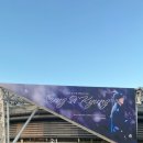 [후기] 2024년 성시경 연말콘서트 2일차 짧은 후기 케이스포돔 시야 vip석 입장 시간 게스트 후기...