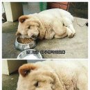 썬라이즈모텔 이미지