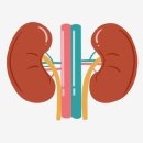 태영21병원 이미지