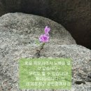 목동청구공인중개사사무소 이미지