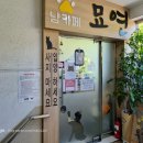 냥카페 묘연 이미지