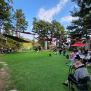 우리들애견 이미지