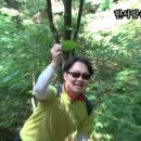 잉크앤드 | [나고야 쇼핑] 제니 신발 '비브람 파이브핑거스' 7만원에 득템한 후기! (사이즈/가격/면세 팁)