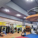 엘마복싱체육관 이미지