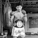 참피온복싱 이미지