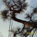 해송농장 이미지