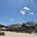 그루터기 캠핑장 이미지