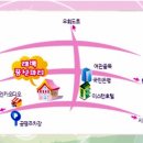 태백풍선파티 Daum카페