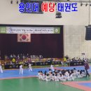 용인대 예당 태권도장 이미지