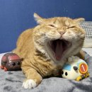 미리내노래방 | 시간이 빨리 흐르는 건 내 골반이 멈추지 않는 탓일까ㅜ.ㅜ