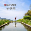 남해 여행지 추천 섬이정원 경남 유럽식 수목원 가볼 만한 곳