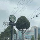 스타벅스충주시청DT점 이미지