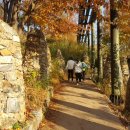 소문난 멸치국수 이미지