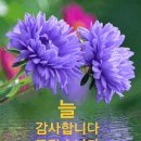 조폭 이미지