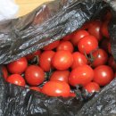 흥부닭집 이미지