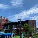 핑스애견펜션 이미지