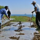 가천다랭이마을 이미지