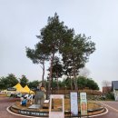 안성가볼만한곳 - 안성팜랜드 관람후 저녁은 안성맛집 숯불갈비소나무향기