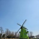 중앙동309 | 🌸 순천만 국가정원 벚꽃 아직? (3/21 기준 개화 상태 + 3/28 벚꽃축제 정보)