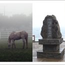 마라도유람선(유양해상) 이미지