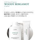 스텔라이 이미지