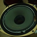 김종기 | SH20060522-01 : TANNOY 15" (고흥)
