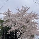 선동1리경로당 이미지