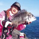 찌사랑낚시 이미지