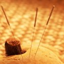 백초한의원 이미지