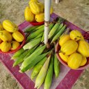 중리농장 이미지