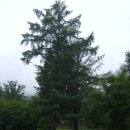 성암목장 이미지