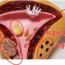 약손청담한의원 이미지