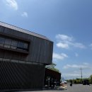 제주 서귀포 수국축제 실시간 개화후기, 카멜리아힐
